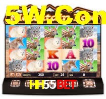 Crash Games Statistics HH55Bet